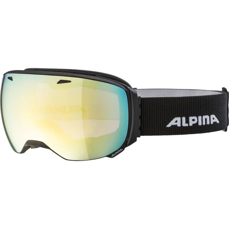Alpina Skibril Zwart