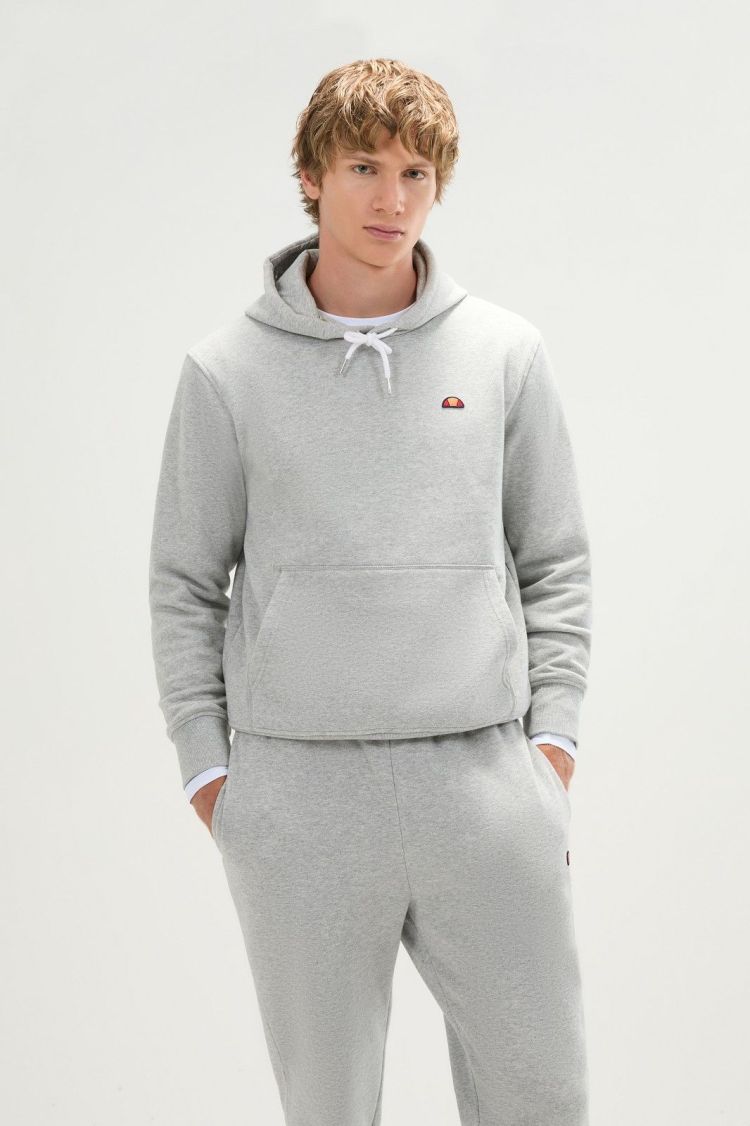 Ellesse Hoodie Grijs
