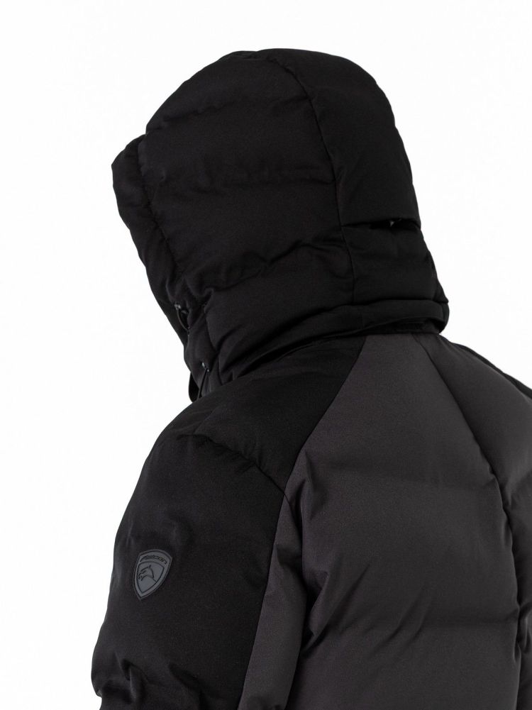 Falcon Jas Grijs heren (ALESSANDRO MEN JACKET - ALESSANDRO.B030) - GL Sport (Sluis)