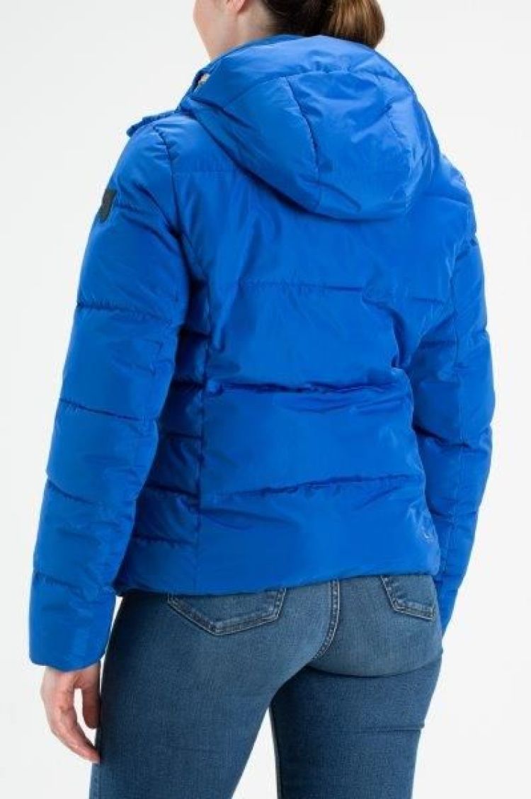 Falcon Ski-jas Blauw dames (BERKLEY LADY JACKET - BERKLEY.A260) - GL Sport (Sluis)