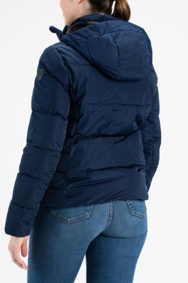 Falcon Ski-jas Blauw dames (BERKLEY LADY JACKET - BERKLEY.N109) - GL Sport (Sluis)