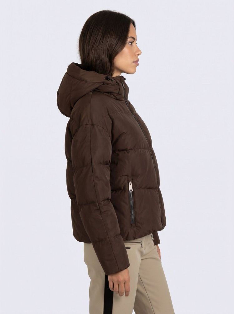Falcon Jas Bruin dames (INAYA LADY JACKET - INAYA.C015) - GL Sport (Sluis)