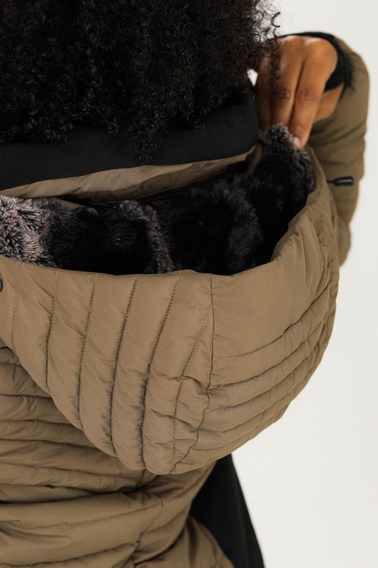 Falcon Ski-jas Bruin dames (MAVIS LADY SKI JACKET - MAVIS.C055) - GL Sport (Sluis)