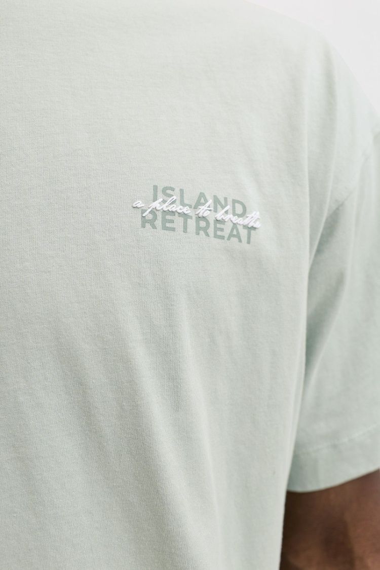Jack & Jones T-shirt Blauw heren (ETERNA GRAPHIC BACK TEE SS CREW NECK - 12295836.AQUAGRAY) - GL Sport (Sluis)