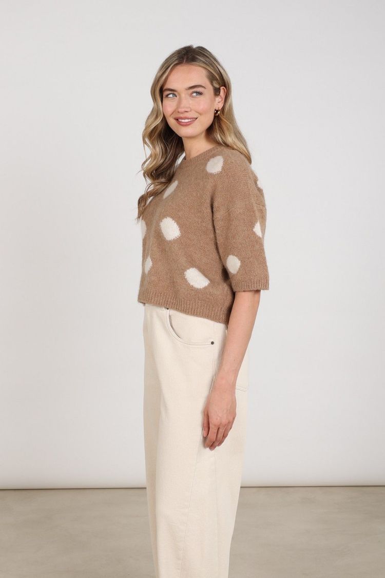 Nukus by Nick Vervoort Pull Taupe dames (LARA PULLOVER DOTS - LARA.PULL.TAUPE) - GL Sport (Sluis)
