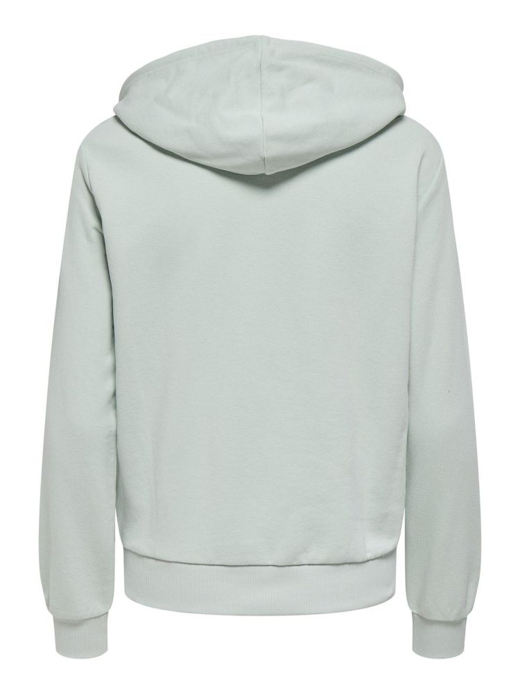 Only Play Hoodie Mint dames (CAVA LIFE HOOD LS LOOSE SWEAT - 15369657.SURFSPRAY) - GL Sport (Sluis)