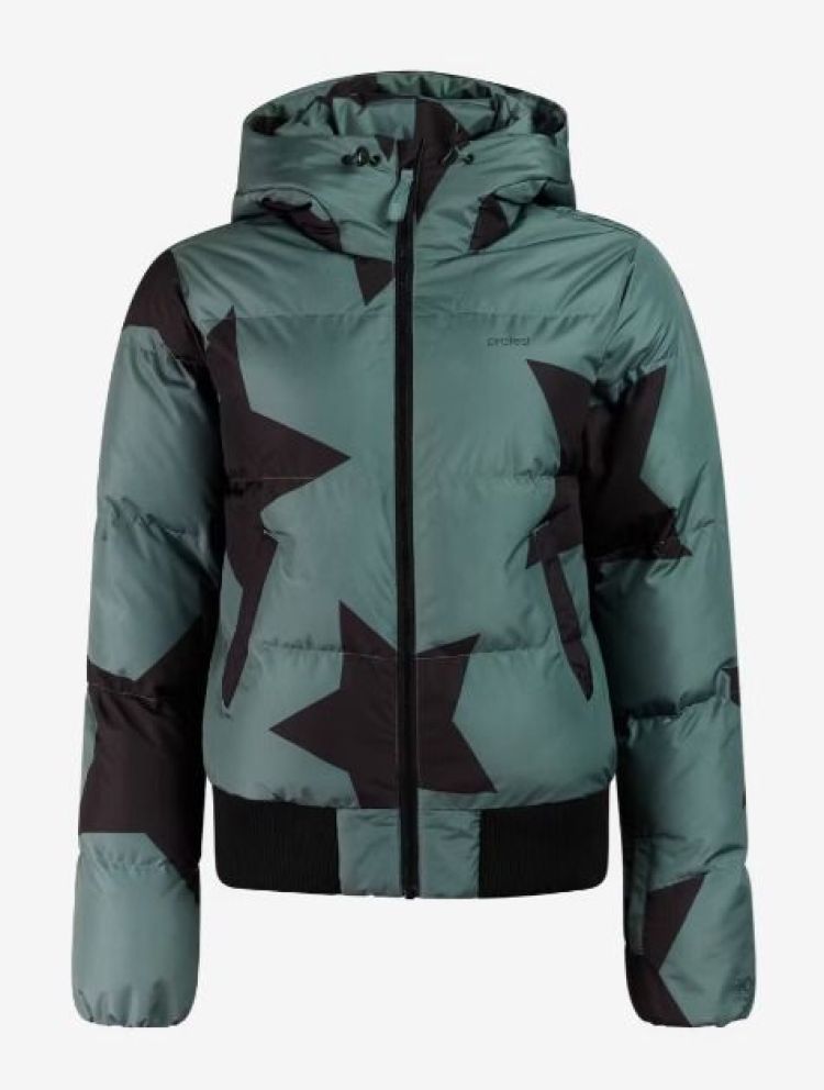 Protest Ski-jas Groen