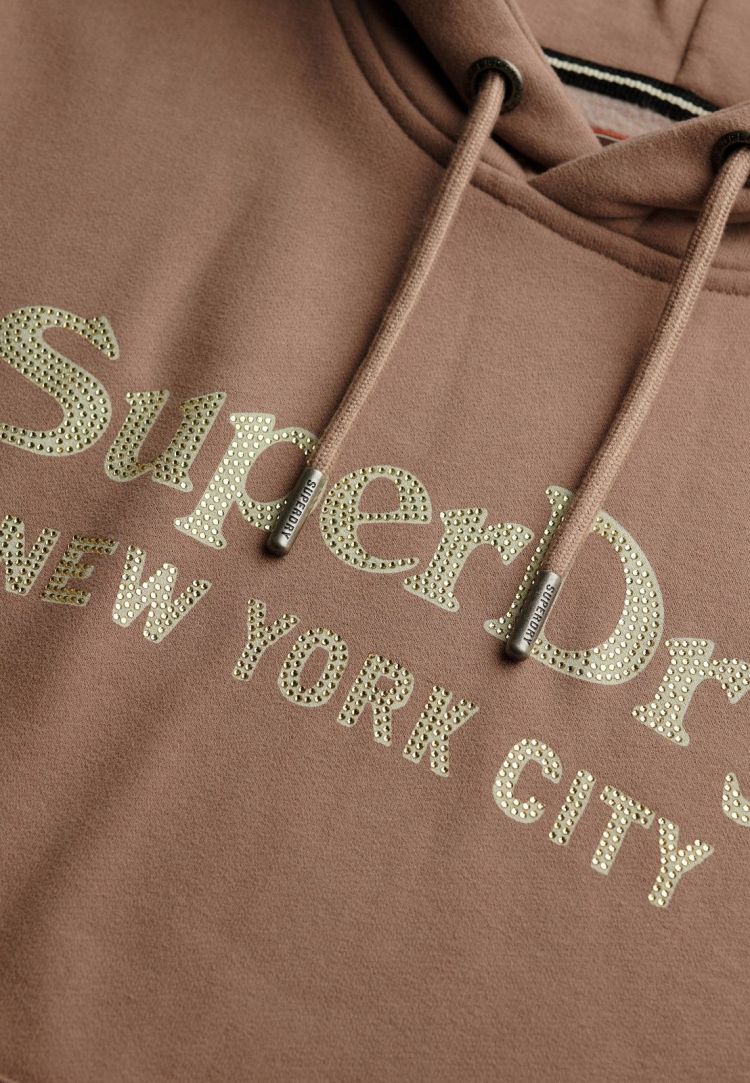 Superdry Hoodie Bruin dames (BRAND MARK RELAXED HOOD - W2012396A.5OU) - GL Sport (Sluis)